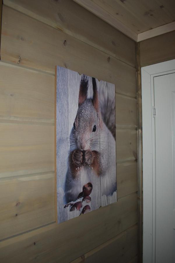 Norbel Hytte Norway Vrådal Exteriör bild