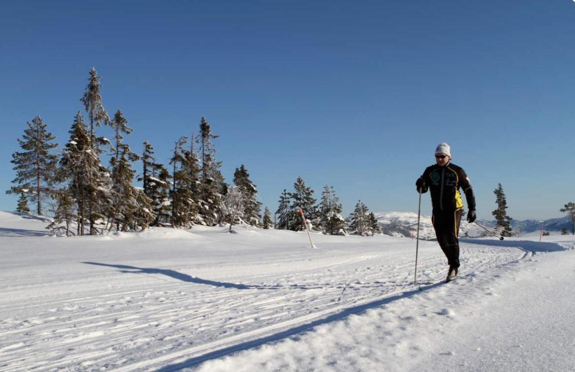 Norbel Hytte Norway Vrådal Exteriör bild